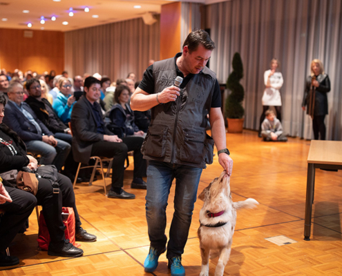 Schimmelspürhund im vollen Saal