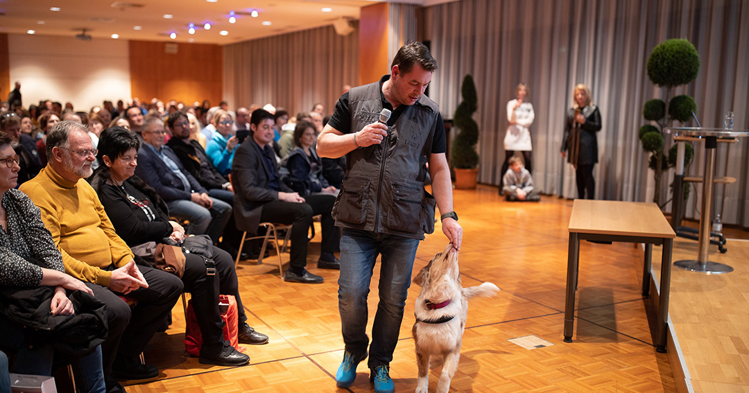 Schimmelspürhund im vollen Saal