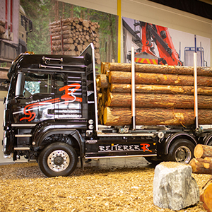 Lkw mit Baumstämmen beladen