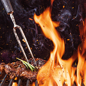 Die Grillarea auf der Freizeitmesse