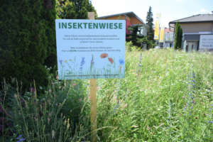 Schild einer Insektenwiese!