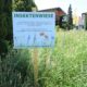 Schild einer Insektenwiese!