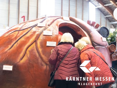 Kärntner Messen/Zangerle