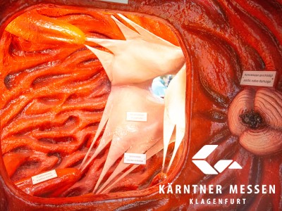 Kärntner Messen/Zangerle