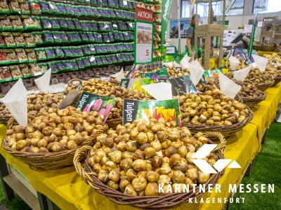 Kärntner Messen/Zangerle