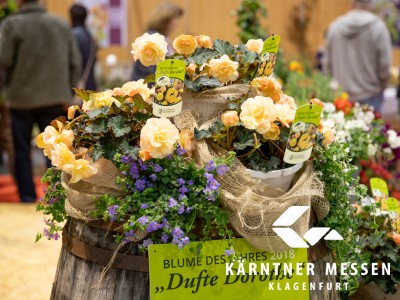 Kärntner Messen/Zangerle