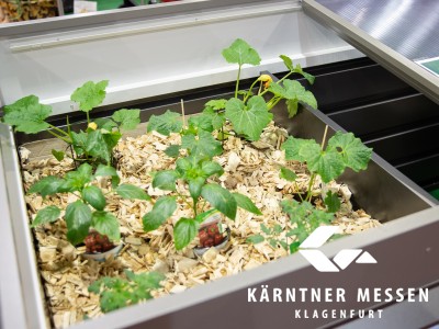 Kärntner Messen/Zangerle