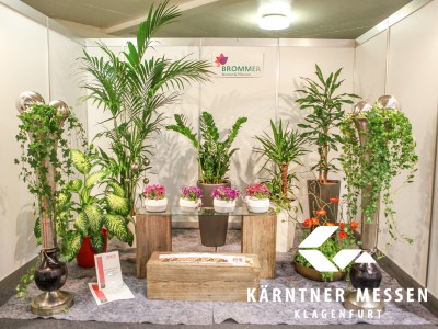 Kärntner Messen/Zangerle