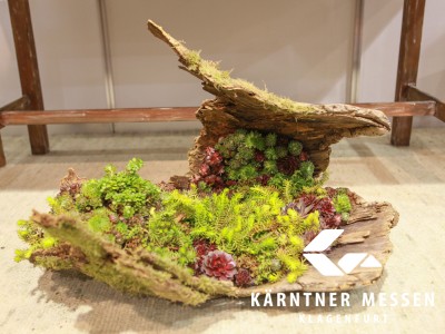Kärntner Messen/Zangerle