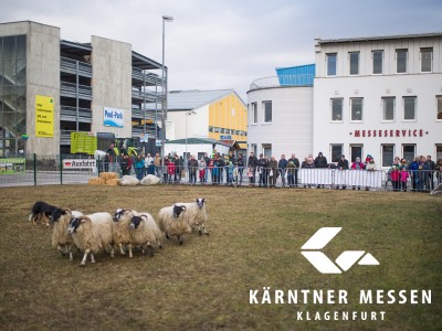NZ Photo/Nicolas Zangerle